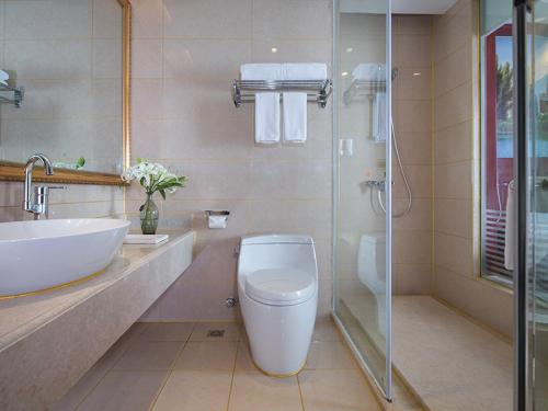 uma casa de banho com um WC, um lavatório e um chuveiro em Vienna International Hotel (Zhuzhou liyu store) em Zhuzhou