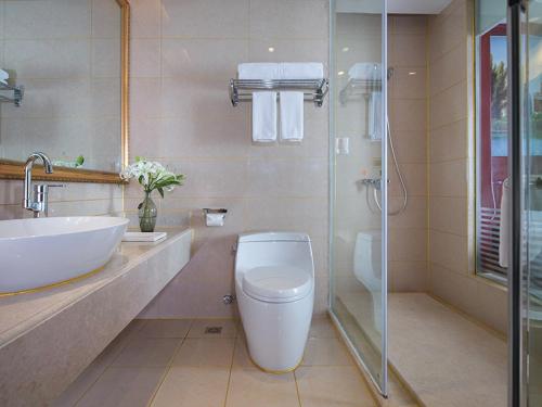 Un baño con inodoro, lavabo y ducha. en Vienna International Hotel (Zhuzhou liyu store), en Zhuzhou