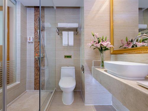 a bathroom with a toilet and a sink and a mirror at Vienna Hotel (Jieyang Jinxian Dadao Shop) in Jieyang