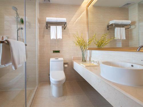 a bathroom with a toilet and a sink at Vienna Hotel Huizhou Baiyun Road in Huizhou