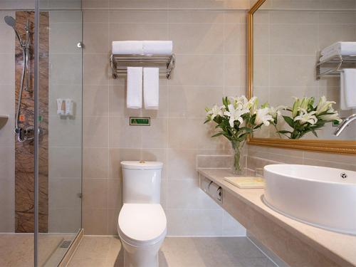 a bathroom with a toilet and a sink and a mirror at Vienna Hotel Chengdu Dafeng Subway Station in Chengdu