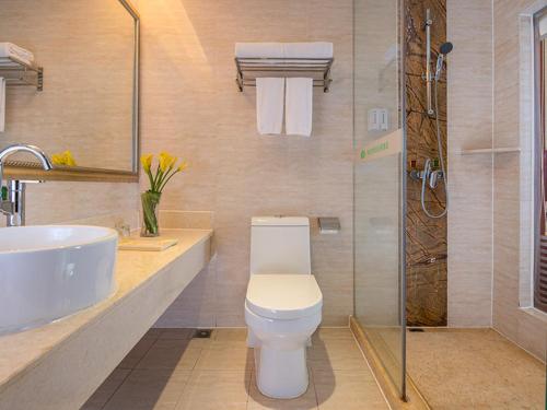 La salle de bains est pourvue de toilettes, d'un lavabo et d'une douche. dans l'établissement Vienna Hotel Zhongkai Road Branch, à Huizhou