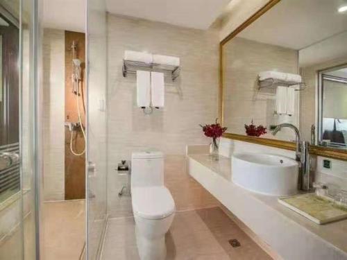 uma casa de banho com um WC, um lavatório e um chuveiro em Vienna Hotel Heyuan Hongxing Road em Heyuan