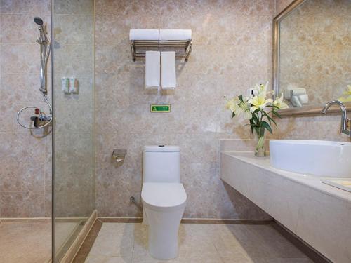 uma casa de banho com um WC, um lavatório e um chuveiro em Vienna Hotel Shaoguan Wujiang Kuangshan Park em Shaoguan