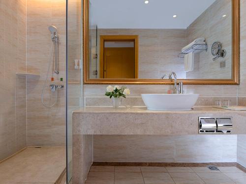 a bathroom with a sink and a mirror and a shower at Vienna International Hotel(Chenzhou Wuling Square Shop) in Chenzhou