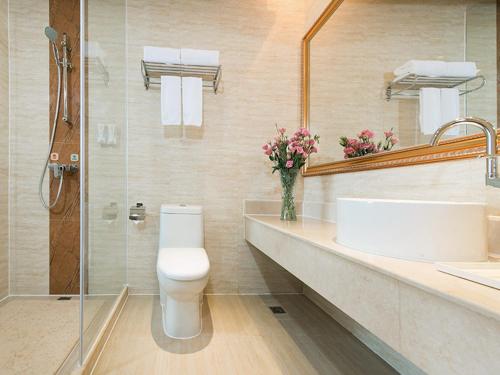 宝安にあるVienna 3 Best Hotel Shenzhen Longhuadalang Commercial Centreのトイレ、洗面台、鏡のあるバスルーム