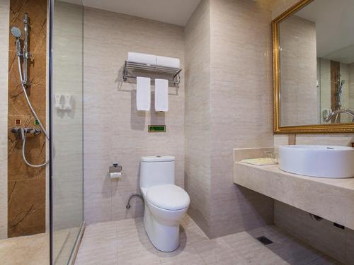 uma casa de banho com um WC, um lavatório e um chuveiro em Vienna Hotel Longchuan em Longchuan