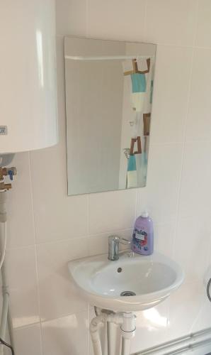 a bathroom with a white sink and a mirror at Еко Садиба Під Полониною in Sasivka