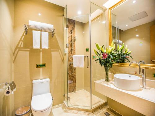 uma casa de banho com um WC, um lavatório e um chuveiro em Vienna Hotel Hunan Shaodong Jinlong Ave em Shaodong
