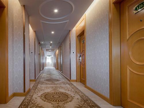 a hallway with a carpet in a building at Vienna Hotel(Shenzhen Shajing Jingjinbaina Branch) in Shenzhen