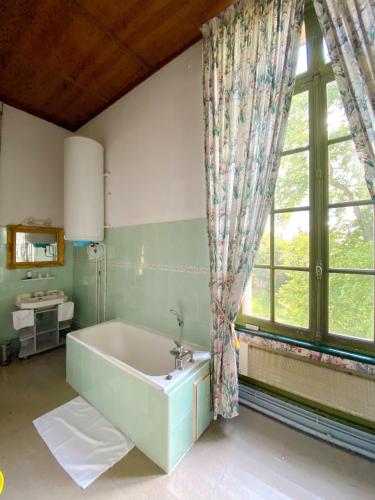 une salle de bain avec baignoire et une grande fenêtre dans l'établissement B&B Chateau de Villersexel, à Villersexel
