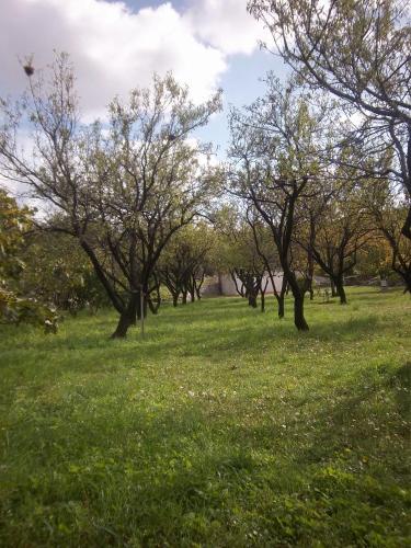 a field of grass with trees in the background at Guesthouse Budima in Banići