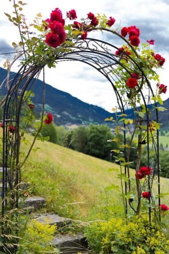 a metal arch with red flowers in a field at Haus Hoen in Untertweng