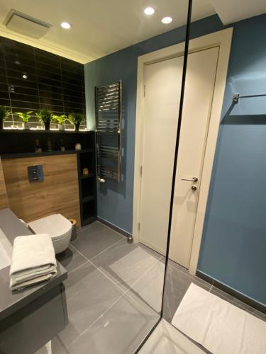 a bathroom with a toilet and a glass shower at DOM Boutique Apartments PARK VIEW in Belgrade