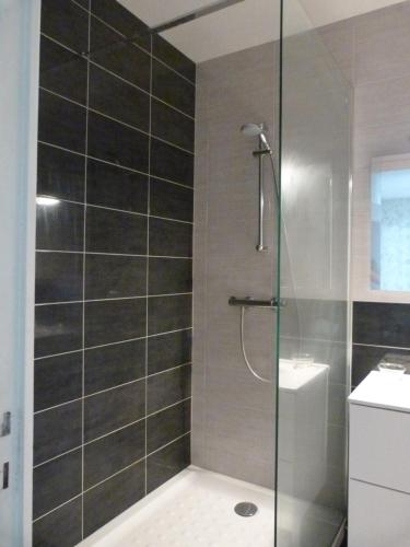 une douche avec une porte vitrée dans une salle de bain dans l'établissement Le Pariou, à Clermont-Ferrand