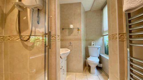 a bathroom with a shower and a toilet and a sink at Hafan Artro in Llanbedr