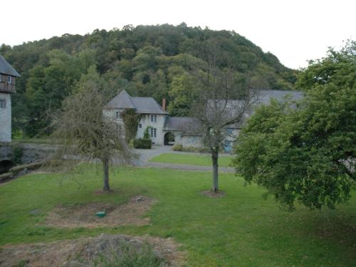 two trees in the yard of a house at Hotel Le Moulin Des Ramiers in Crupet