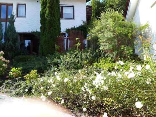un jardin avec des fleurs blanches en face d'une maison dans l'établissement Ferienwohnung Rosa Müller, à Wangen im Allgäu