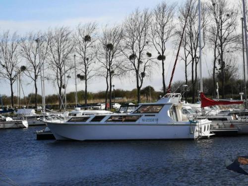 Paysage naturel près de le bateau
