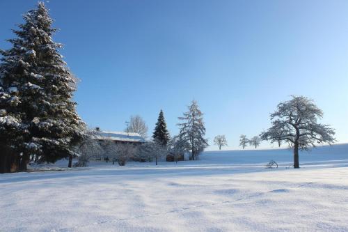 un terrain enneigé avec des arbres et un bâtiment dans l'établissement Auszeit auf dem Lindenhof, à Wangen im Allgäu