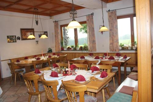 Restaurace v ubytování Gasthof Grüner Baum "Kongo"
