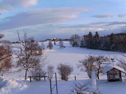 a field covered in snow with trees and a building at Gasthof Grüner Baum "Kongo" in Amtzell