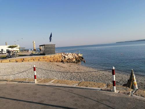 a bird sitting on top of a beach next to the water at VILA MOLET KOPER in Koper