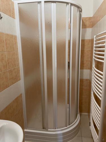 La salle de bains est pourvue d'une douche en acier inoxydable et de toilettes. dans l'établissement Ubytování Lipůvka, à Lipuvka
