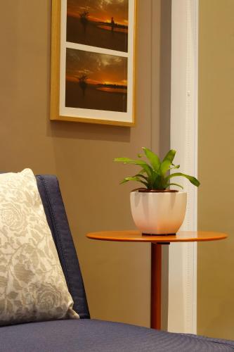 a potted plant sitting on a table next to a chair at #3 Sofisticado Estúdio na Boaventura Da Silva in Belém