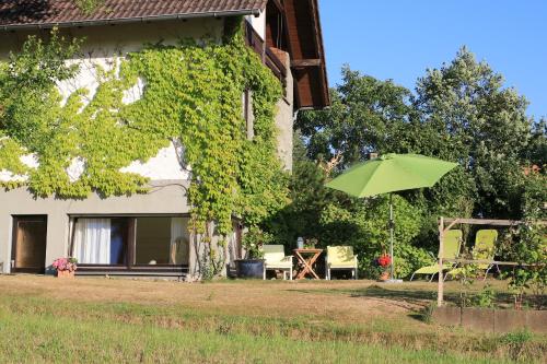 a green umbrella in front of a house at Ferienwohnung Naturfreund in Lügde