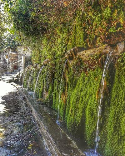 a waterfall on the side of a moss covered wall at Nysa Residence in Andros