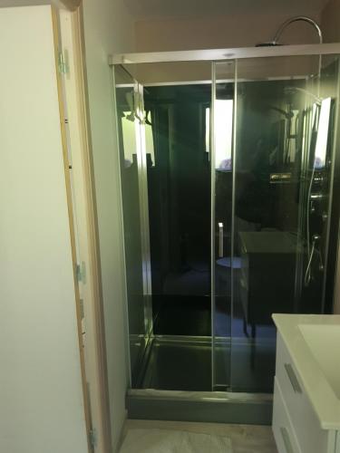 una puerta de ducha de cristal en una habitación con lavabo en Appartement cosy calme à l'orée du bois, en Cornimont