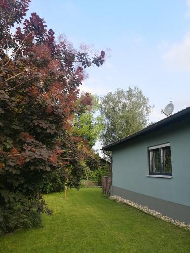 a yard next to a house with a tree at Haus zur lachenden Lieselotte I 5 Minuten zu Fuß zum kostenlosen Naturbad I Messenähe I Waldnähe in Postbauer-Heng