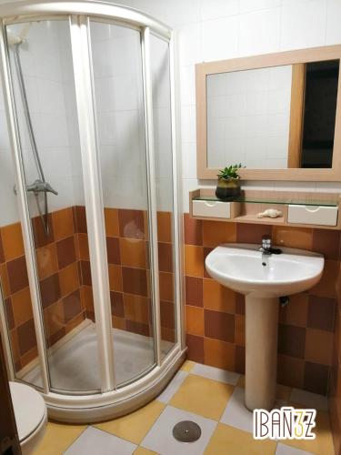 a bathroom with a shower and a sink at Ibañez 3 in Ribadeo
