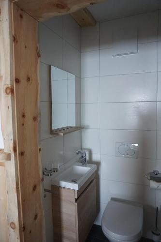 a bathroom with a toilet and a sink and a mirror at Alpengasthof Hirschbichlalm in Zellberg