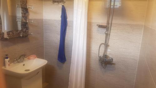 Hostel SvanLand tesisinde bir banyo