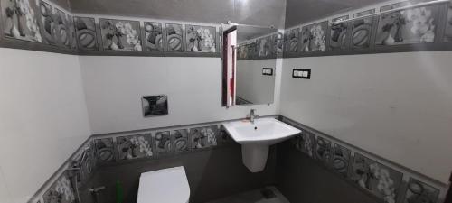 a bathroom with a sink and a mirror and a toilet at The Butterfly cottage Vagamon in Vagamon