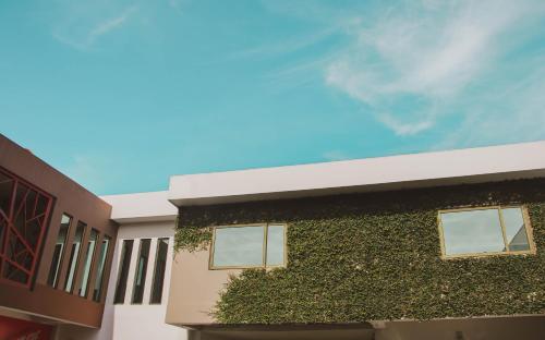 a building with ivy on the side of it at Remfort Hotel in Santa Ana