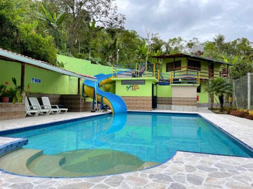 Palmito Palma