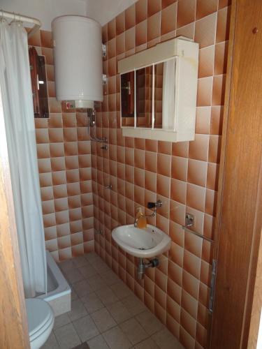 a bathroom with a sink and a toilet at Marijanka in Sveti Juraj