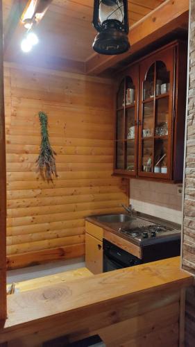 Η κουζίνα ή μικρή κουζίνα στο Kuća za odmor "Med Strmci"