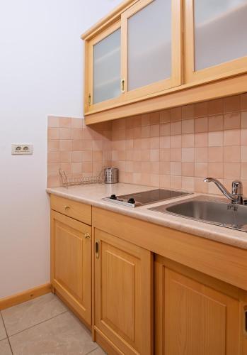 a kitchen with wooden cabinets and a sink at Hiša Orel (Orel House) in Križ