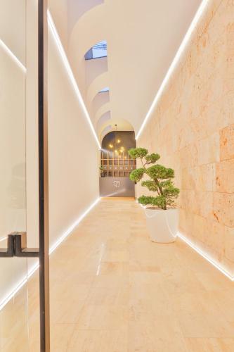 a hallway with a potted plant in a building at Benelux Hotel in Peje