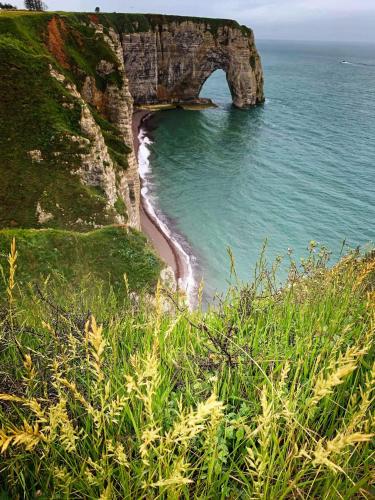 Une arche sur le côté d'une falaise à côté de l'océan dans l'établissement Appartements a 5 minutes de la mer a pied, à Étretat