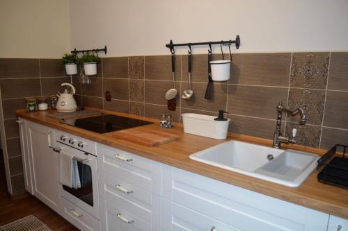 cocina con fregadero y encimera en Apartamenty no3, en Paczków