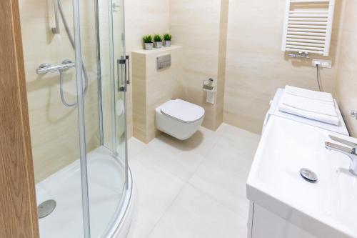 łazienka z prysznicem, toaletą i umywalką w obiekcie Apartament 7M z Basenem w jednym budynku Rewal, free private parking, Park rozrywki HOSSOLAND 30 minut w Rewalu