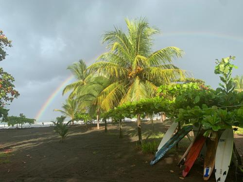 a palm tree and surfboards on a beach with a rainbow at Miguel Surf Camp in Quepos