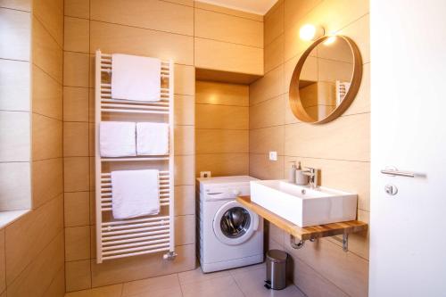 a bathroom with a washing machine and a sink at Danilo's Resort, Vipavska dolina in Dobravlje