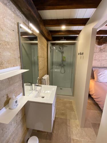 a bathroom with a sink and a shower at 16 CHEMIN DE BOISBELET in Coutras