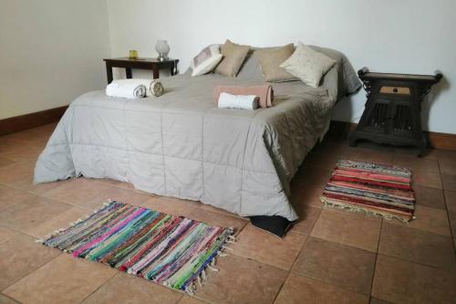 a bedroom with a large bed with a rug at CASONA DE LORETO - alquiler temporario- in Azul